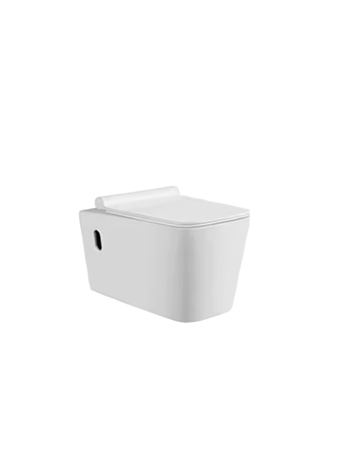 Zotto - White One Piece Toilet Size 72 x 39 x 76.5